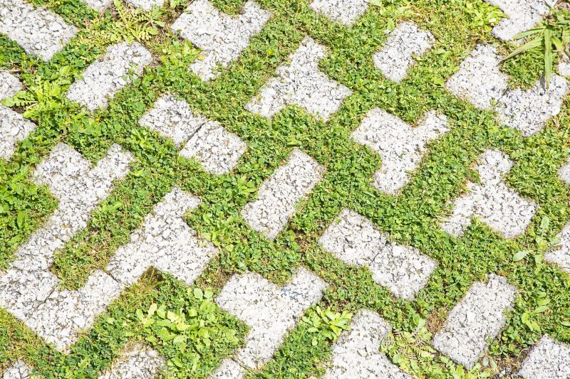 Paver Flooring Installation in Longmont, CO
